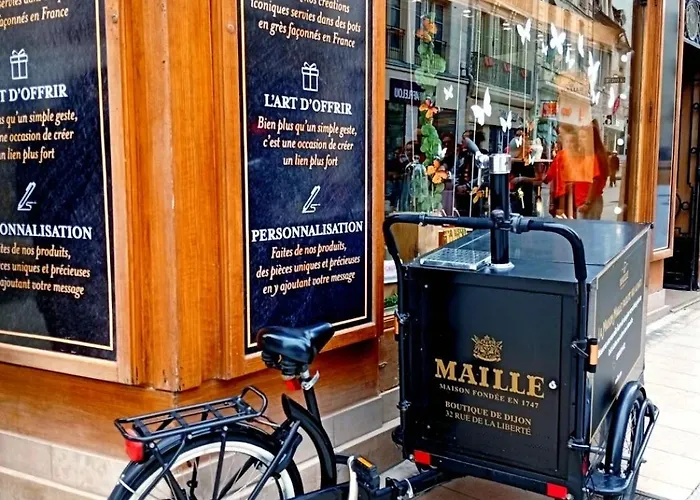 Le Prefecture - Particulier Au Coeur De アパート ディジョン