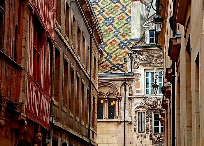 Le Prefecture - Particulier Au Coeur De ディジョン