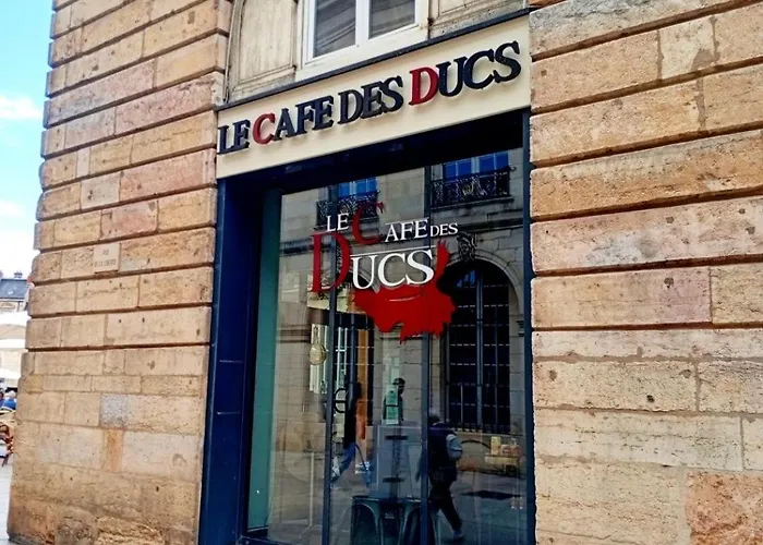 Le Prefecture - Particulier Au Coeur De ディジョン